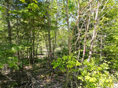 DJI_0960