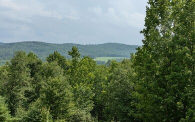 257 Tory Hill Rd, Langdon, NH 03602 - photo 3