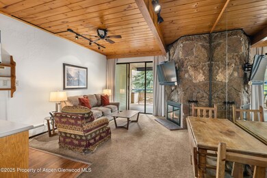 301 E Hyman Ave unit 202, Aspen, CO 81611 - photo 6