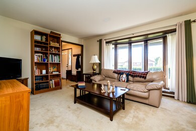 Tanbark-303