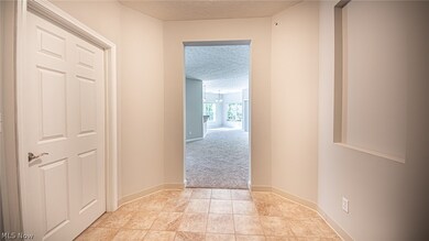 1005 Aqua Marine Blvd, Avon Lake, OH 44012 - photo 2