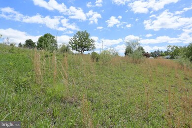 0 Heavenly Acres Ridge unit MDWA163984, Hancock, MD 21750 - photo 7
