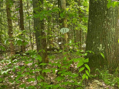 9 Oak Ln unit Lot 55 and 56, Grantham, NH 03753 - photo 2