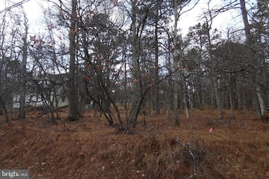 Lot D1922 N Old Stage Rd, Albrightsville, PA 18210 - photo 4