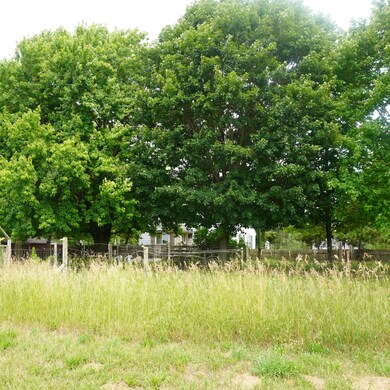 trees