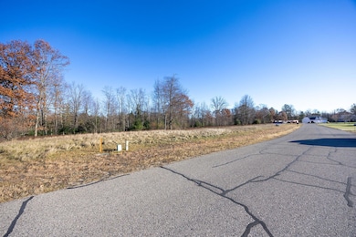 11482 Killarney Dr, Canadian Lakes, MI 49346 - photo 2