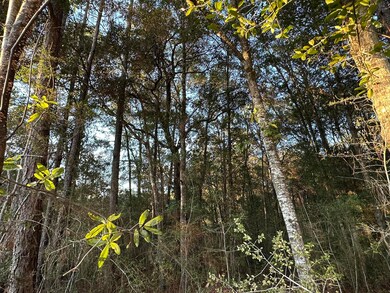 TBD E Chestnut Ave, Crestview, FL 32539 - photo 6