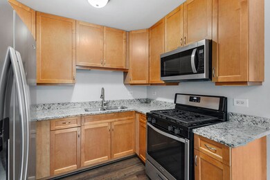 936 N Brainard St unit 38, Naperville, IL 60563 - photo 2