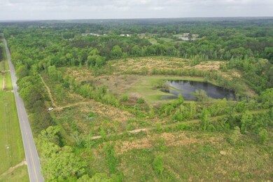 0 Hwy 438 Hwy unit LotWP001 23134119, Angie, LA 70426 - photo 5