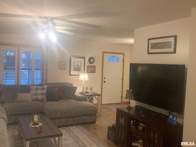 504 Garden Ct, Chatham, IL 62629 - photo 7