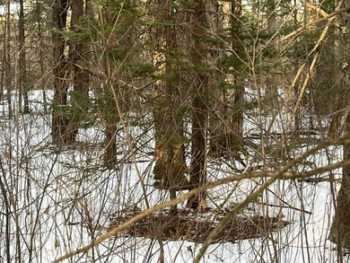 Lots 1 & 2 Eden Farm Rd, Pownal, ME 04069 - photo 4