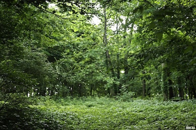 000 205th St, Kinderhook, IL 62345 - photo 7