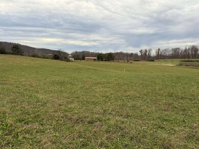 Tract #3 Ky Hwy 829, Albany, KY 42602 - photo 7