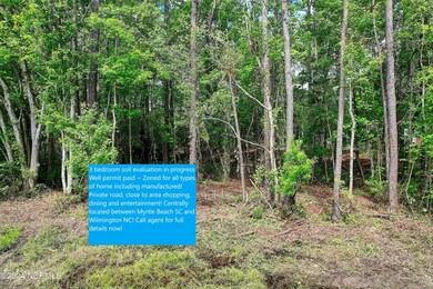 1293 Black Bear Run SW, Lockwoods Folly, NC 28462 - photo 4