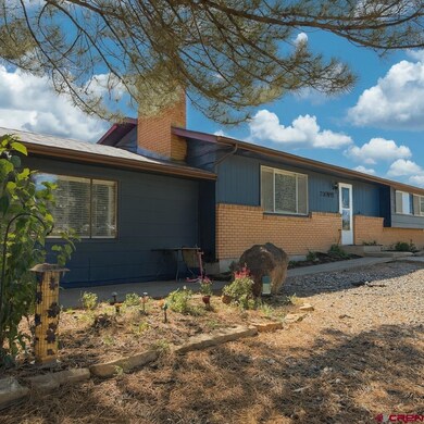 20812 Vista Grande Dr, Austin, CO 81410 - photo 2