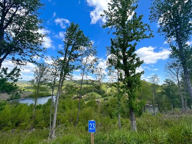 Lot 23