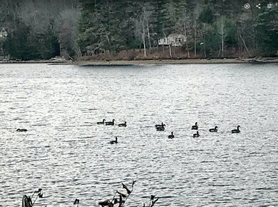 112 E Shore Dr, Weare, NH 03281 - photo 5