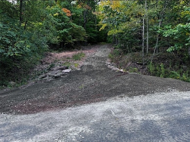 0 Patent Line Rd unit R1591298, Sidney, NY 13775 - photo 2