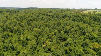 13000 Highway 192, Somerset, KY 42501 - photo 5