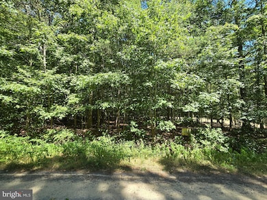 0 Laurel Ln, Denton, MD 21629 - photo 3