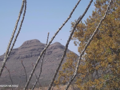 127 N Lupine Rd, Bisbee, AZ 85603 - photo 4