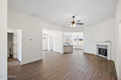 13845 Wesley Banks Blvd, Olive Branch, MS 38654 - photo 7