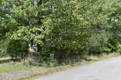 52801 Hastings St, South Bend, IN 46637 - photo 2