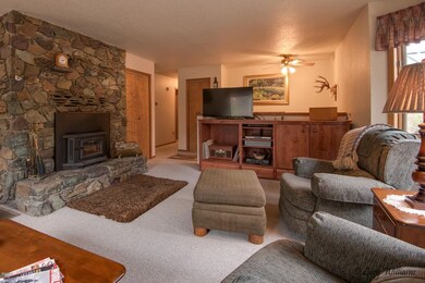 Living Room fireplace