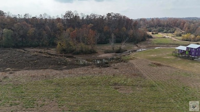 4 Harris Dr, Murfreesboro, AR 71852 - photo 5