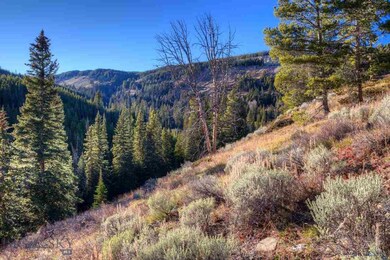 TBD Upper Beaver Creek Road Lot 11, Big Sky, MT 59716 - photo 4