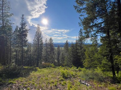 40 San Ignacio Way unit 4, Cascade, ID 83611 - photo 3