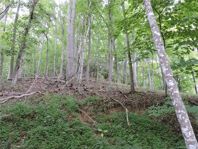 1377 Leisure Ln unit 23, Jacks Creek, NC 28714 - photo 7