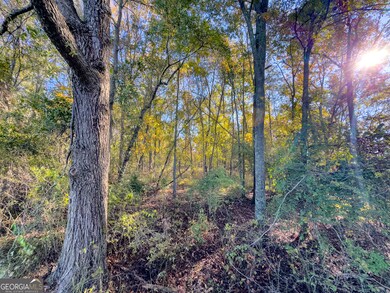 1 Georgia 17, Wadley, GA 30477 - photo 5