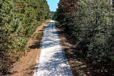 250 Riversong Rd unit 55, Carrollton, GA 30117 - photo 4