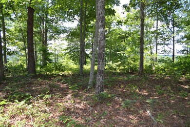 Mid Lot2
