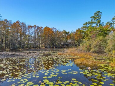 0 Tram Rd unit 393471, Tallahassee, FL 32311 - photo 6