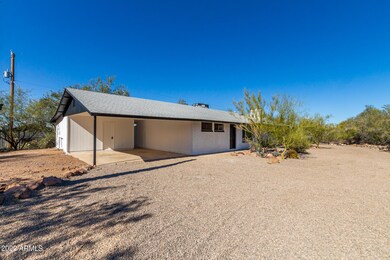 04 Camino Saguaro