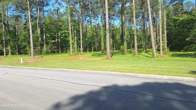 156 Dawson Creek Blvd, Oriental, NC 28571 - photo 4