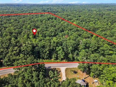 V/L 3A Hess Lake Dr, Grant, MI 49327 - photo 4