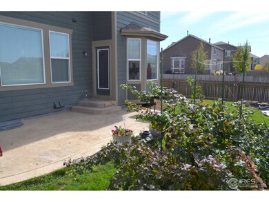 104 Muscovey Ln, Johnstown, CO 80534 - photo 3