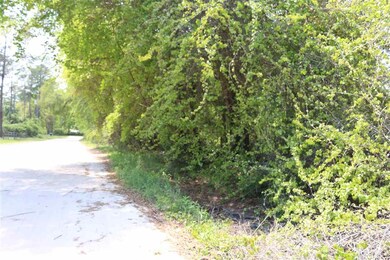 XX Meridith Dr, Crawfordville, FL 32327 - photo 4