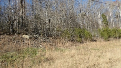 0 Cheyenne Dr unit RTC2769143, Jamestown, TN 38556 - photo 4