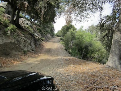 0 N Burnt Mill Canyon Rd unit SR25190570, Cedarpines Park, CA 92322 - photo 6