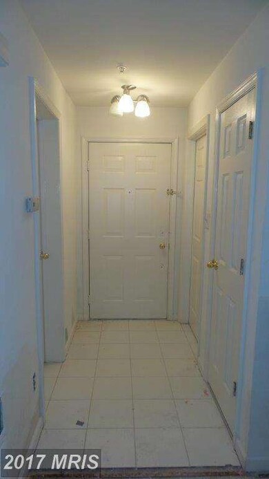 2 Tyler Falls Ct unit F, Baltimore, MD 21209 - photo 6