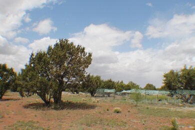 Parcel B Bourdon Ranch Rd, Show Low, AZ 85901 - photo 6