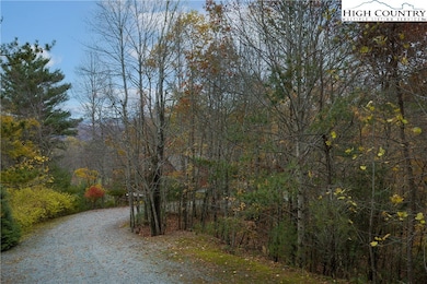 Lot 10 Talon Dr, Boone, NC 28607 - photo 4