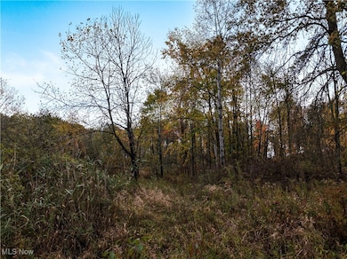 10 Bradley Brownlee Rd, Cortland, OH 44410 - photo 6