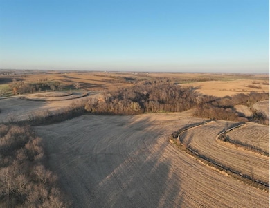 0 290 St, College Springs, IA 51637 - photo 4