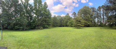 0 Clyde Place unit 10529703, Dublin, GA 31021 - photo 6