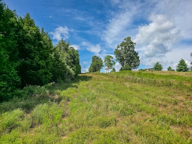 0 Double Branch Rd unit RTC3050045, Columbia, TN 38401 - photo 4